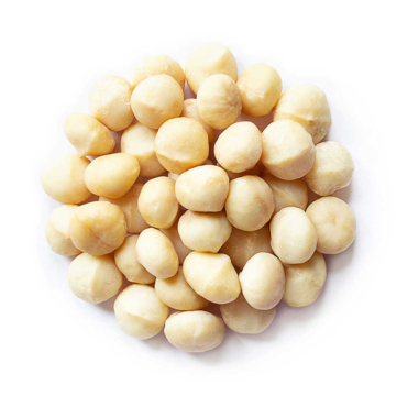 Macadamia