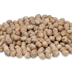 Garbanzo-pedrosillano