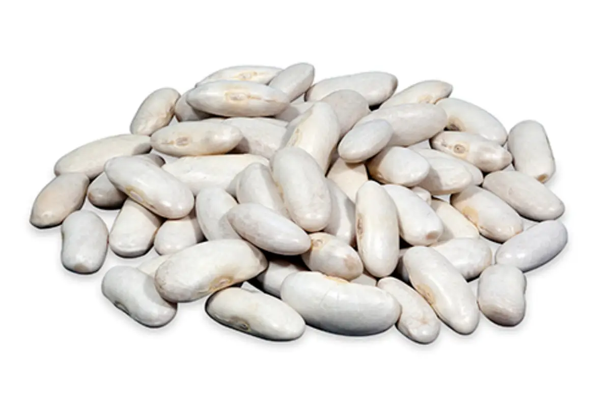 Fabada-asturiana-granja