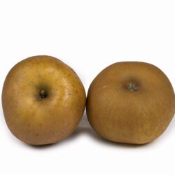 Manzana reineta gris