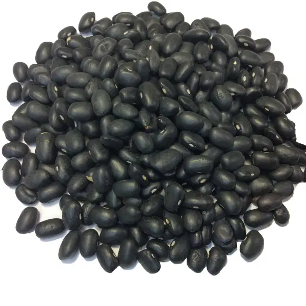 Alubias-tolosa-negras