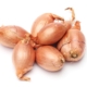 11918429 - fresh shallots isolated on a white background