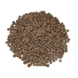 Lentejas-pardinas-zamora