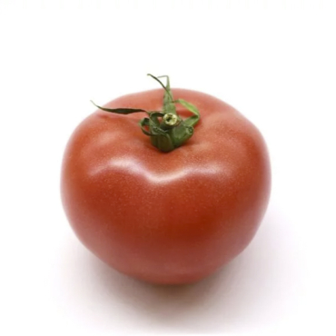 Tomate