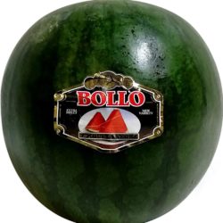 Sandia-bollo