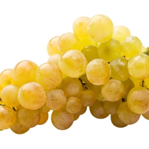 Uva-moscatel