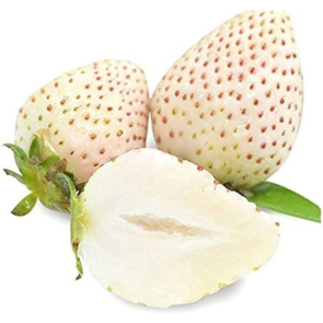 Fresas Blancas