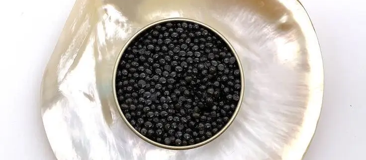 caviar