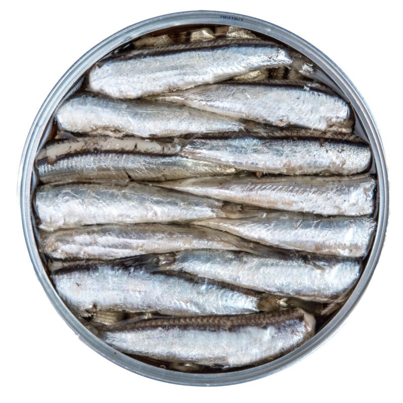 Boquerones-Paco