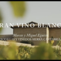 Sierra-Cantabria-gran-vino