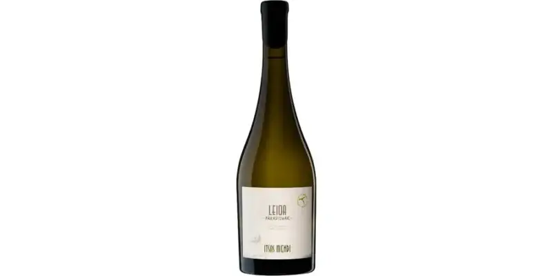 Leioa-itsasmendi-txakoli