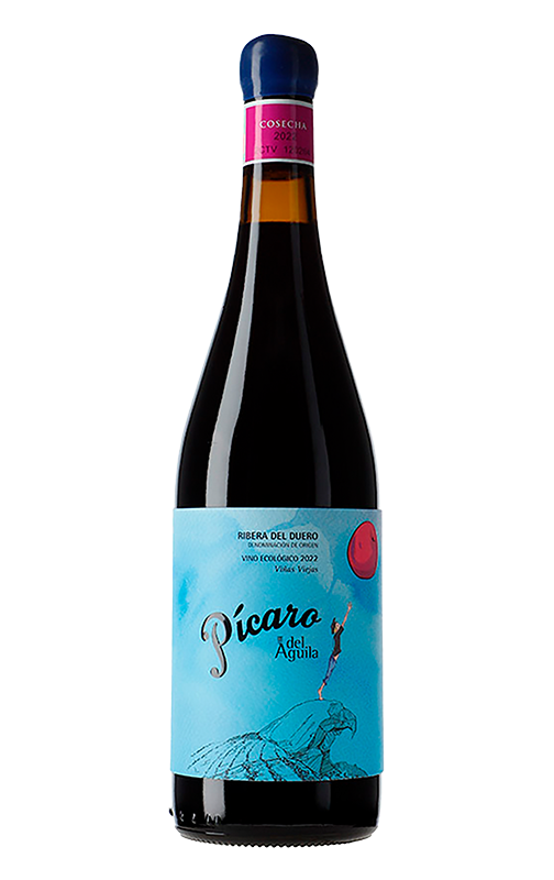 picaro-dominio-aguila-2023