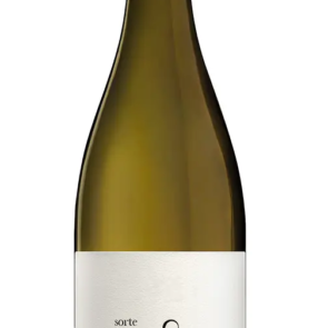 sorte-o-soro-rafael-palacios-2023