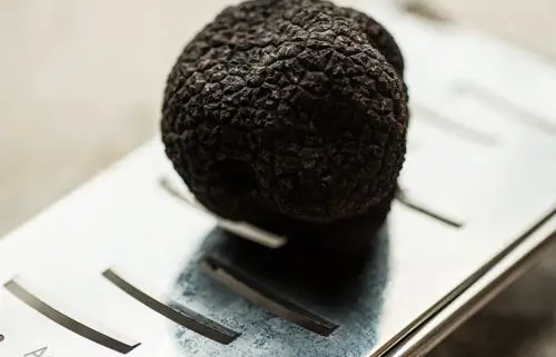 trufas-frescas trufas-frescas