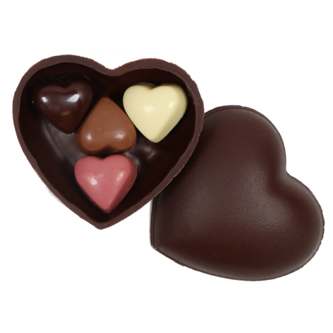 tulipa-m-chocolate-corazon