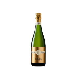 mestres-mas-via-gran-reserva-brut