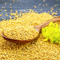 mostaza-grano-onena-2