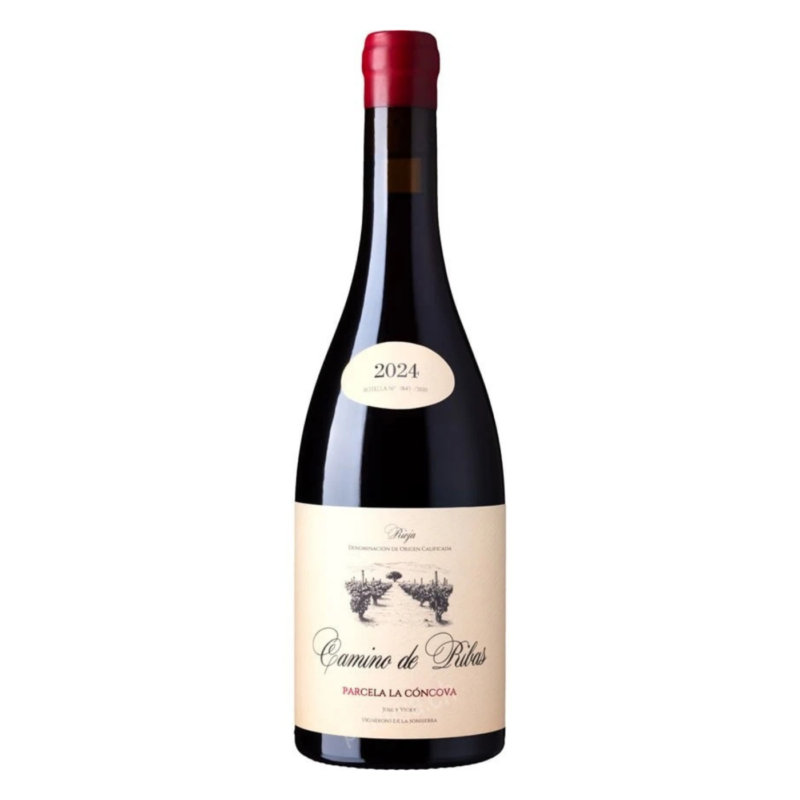 Jose-Gil-Camino-Ribas-Parcela-Concava-2024
